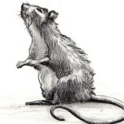 WVines41022's profile picture. 