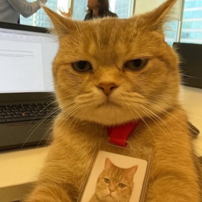 usuarioblokead0's profile picture. 