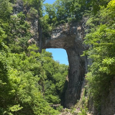 got2begg's profile picture. 