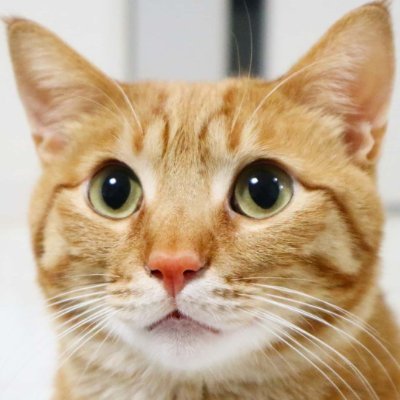 TakakoNakane's profile picture. どんなに頑張っても、都市は崩壊する必要はありません、頭を上げればいいだけです、と建強駅によって書かれました。 仕事の続き。。