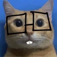 RoyalPie (@royalpie__) 's Twitter Profile Photo