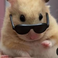 Sof✨️ (@19sofft) 's Twitter Profile