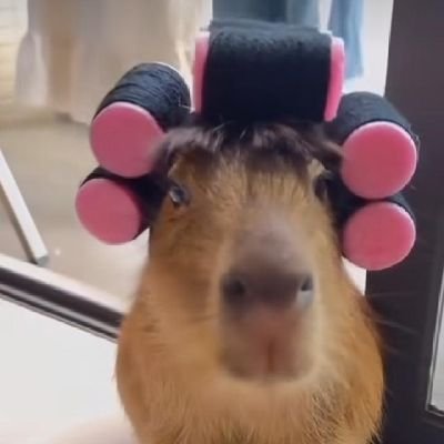empanadota's profile picture. soy romántico y boludo