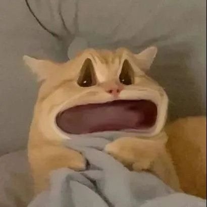 kloopdazz's profile picture. (fan acc)
 BTS the biggest brand in the world
                                                                         ไม่พอใจก็เรื่องของมึง😘