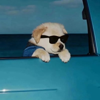 VeeeCrypto's profile picture. 