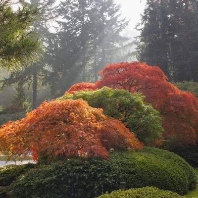 ChaunceyK77's profile picture. 