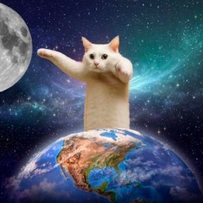 CryptoJohn247's profile picture. 