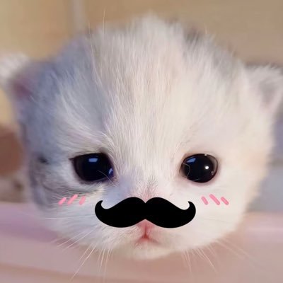 hello97289823's profile picture. 添加联系方式请过🚪99｜私信回口令（不接推广谢谢🙏