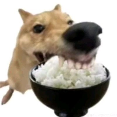 Reiden ⛩️さんのプロフィール画像