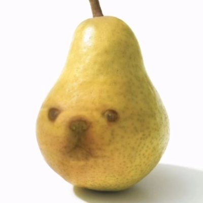 wissir269267's profile picture. Pibble ent...entusi...enthu?? pibble liker (18+ 6/10/06)