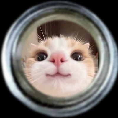 Oshimaisanteam's profile picture. lolをプレイしています。26卒 よしなま好き