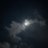xcildh's profile image