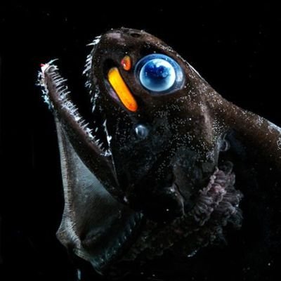 maxmgart735's profile picture. Designer & Writer, Manga/Comic Fan