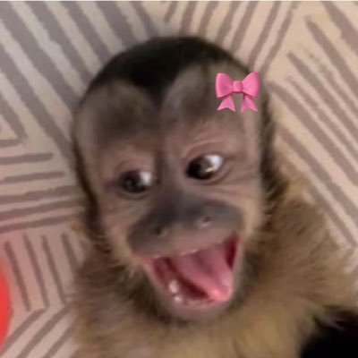 cacakes02's profile picture. 🍂