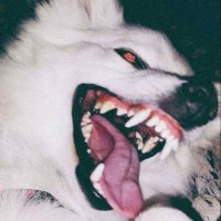 mateuxz (@mateusz32977122) 's Twitter Profile