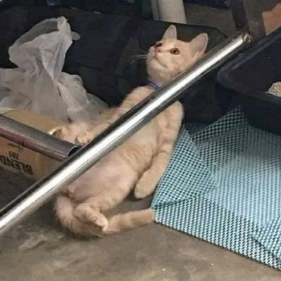 killertomxto's profile picture. 낡고 닳은 영혼