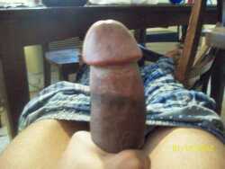 besanchez0709's profile picture. 