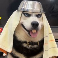 露璐 (@lu_lukun) 's Twitter Profile