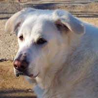 Vero BM (@verobm1923) 's Twitter Profile
