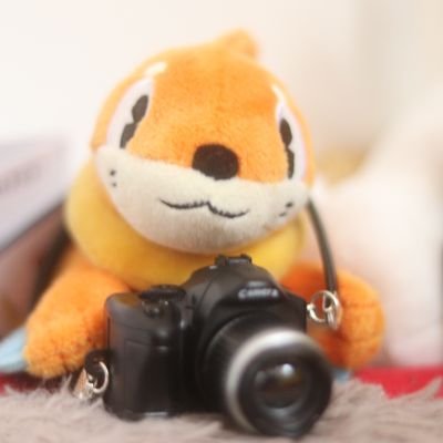 Pureaさんのプロフィール画像