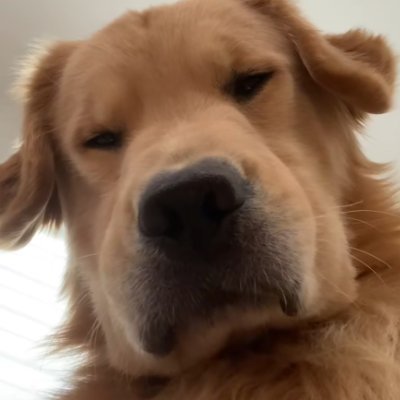 xFmRAGlcxSZhTvB's profile picture. 