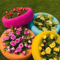 FLOWERS 🌷🥀 (@flowers1275) 's Twitter Profile