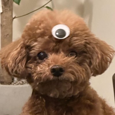 하이さんのプロフィール画像