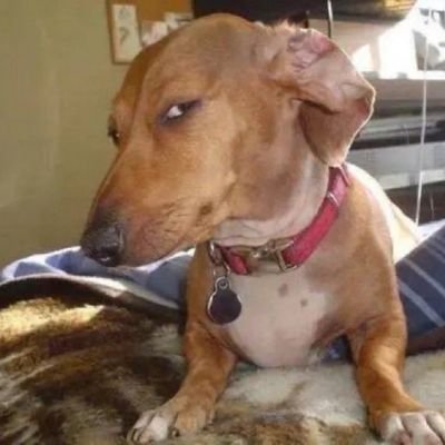 ithendhcoconut's profile picture. 21. life happens