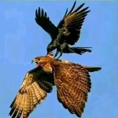 EndrisHuss56606's profile picture. 