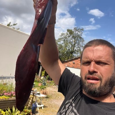 T1D trying to live a Strong, Happy and Healthy life. Love classic vehicles, Boxing, hiking, WHM. Avoid manufactured, industrial foods. Eat fresh and thrive
