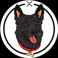 NOX - CTO CTO (@nox_cto_xrpl) 's Twitter Profile