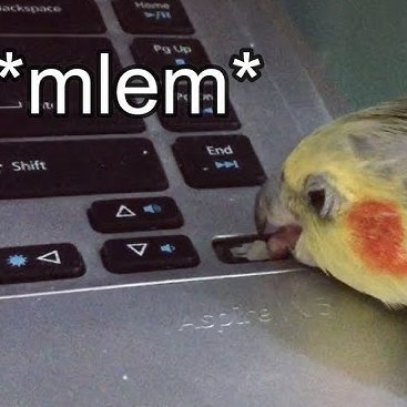 gjsaevus's profile picture. Uiteraard op eigen titel.