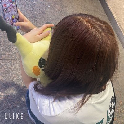 DMあんまり見てません🙇‍♂️￤エレズン&クルミル推し￤ポケポケ￤SV￤GO￤モンハン￤🗝▶︎@hamusubchann