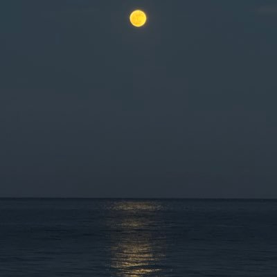 BorjaL89's profile picture. Cocinando emociones y  experiencias 👨🏼‍🍳 Amante del Vino, de la Gastronomía, del Mar, de la Naturaleza y de la Sencillez.