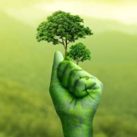 Nature (@fornature2106) 's Twitter Profile