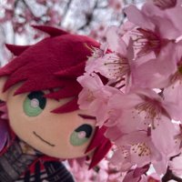 ウィル (@aria_sei23) 's Twitter Profile Photo ウィル (@aria_sei23) 's Twitter Profile Photo