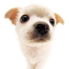 xucxoo's profile picture. 