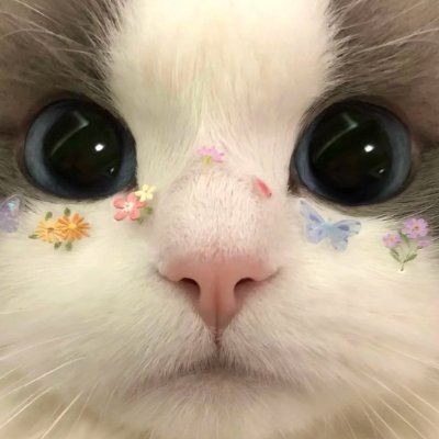 Cutie_Syndrome's profile picture. Comparison is the thief of all joy !
Be grateful, Be happy ✨