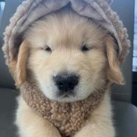 Star ( tweet it ) (@startweetit) 's Twitter Profile
