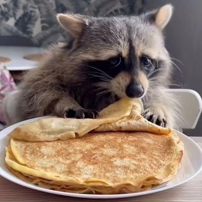 kişisel bilgim yok, ben de yokum. tweetler de hayal ürünüdür