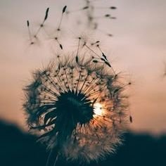 nogueira_rfs's profile picture. De política a Safadeza a gente, de tudo um pouco, fala.
😅😅🤣