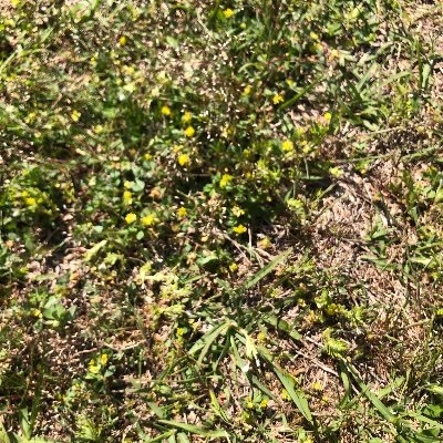 カクヨム、なろうで小説を投稿しています。よろしくお願いします。 リンク→ https://t.co/kCIgksLoft