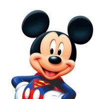 Mickey (@codecrusad10) 's Twitter Profile