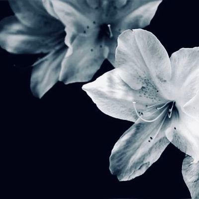 Horuto16926's profile picture. Haiii