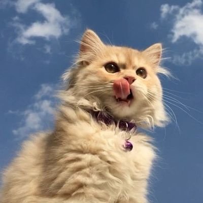 WalaaTayel2's profile picture. مش كل الرزق فلوس