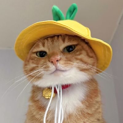 yicao731028's profile picture. I can't stop thinking about you