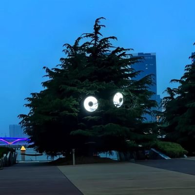 BiggestGorilla0's profile picture. Lessons learnt should always be a guide. it's priceless ✨️