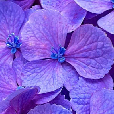 lover13_'s profile picture. if you go crazy for one thing, you will meet the answer someday.