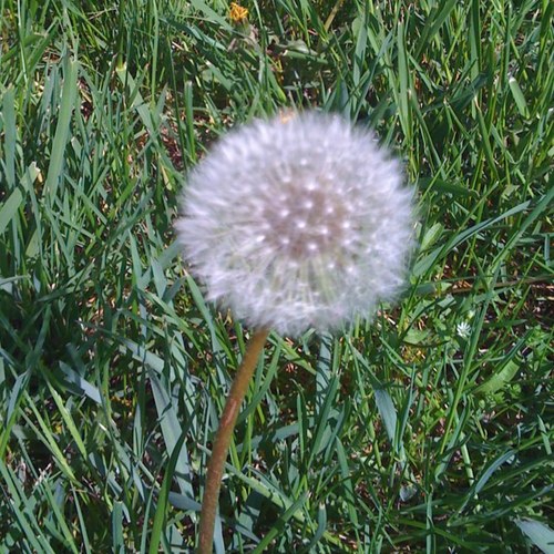 troucap's profile picture. 