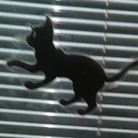 色即是空 (@okagawatom) 's Twitter Profile Photo 色即是空 (@okagawatom) 's Twitter Profile Photo